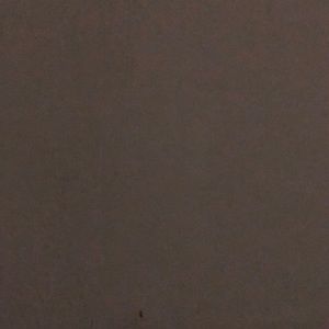 Meet your Posher, Freddy